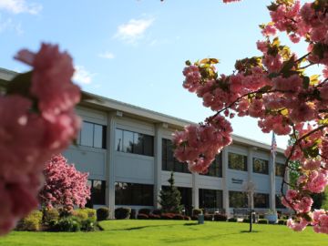 Commonwealth Law School