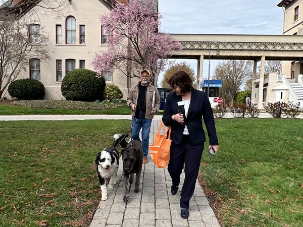 Steve walks Sienna and Lucia while Lizzy walks alongside them.