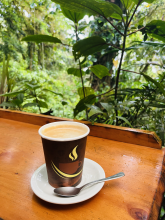 A cup of coffee with a spoon in front of tropical plants