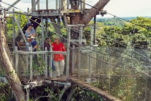 Environmental Science Faculty