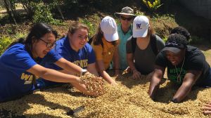 Environmental Science Experiences