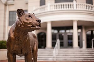 widener pride statue