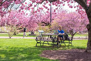 Student Studying Outside