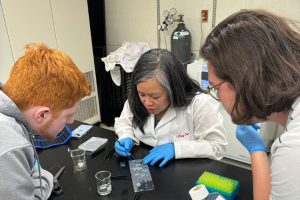Widener biomedical engineering students working with a faculty member