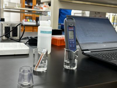 Students conduct different tests on each sample of water