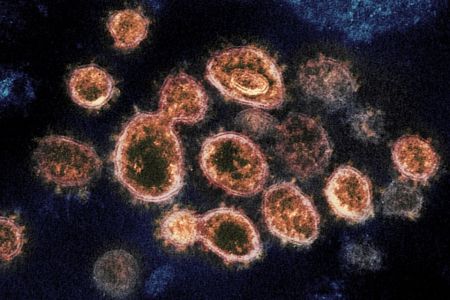 Coronavirus