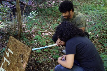 Students look under a wooden board in a wooded area