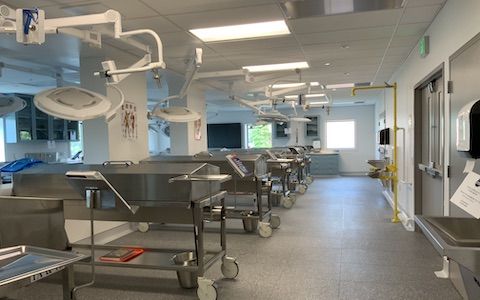 clinical anatomy lab 480x300