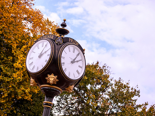 Widener clock in fall