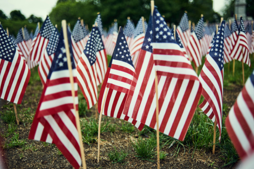 American flags in grass