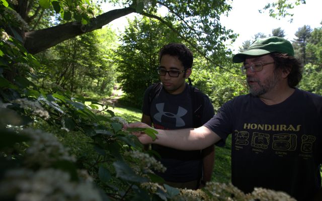 sustainability arboretum