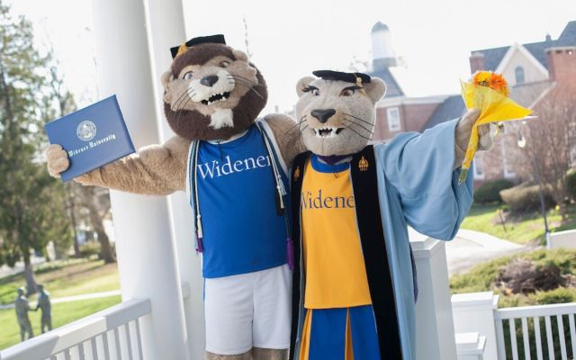 Mascots Wearing Commencement Garb
